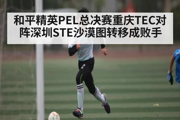 和平精英PEL总决赛重庆TEC对阵深圳STE沙漠图转移成败手